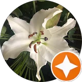 Foto de perfil de Menina 94